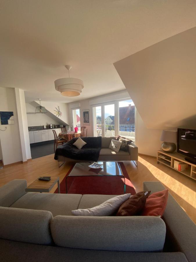 A2 Pas De Colmar Terrasse,Parking Lejlighed Wintzenheim Eksteriør billede