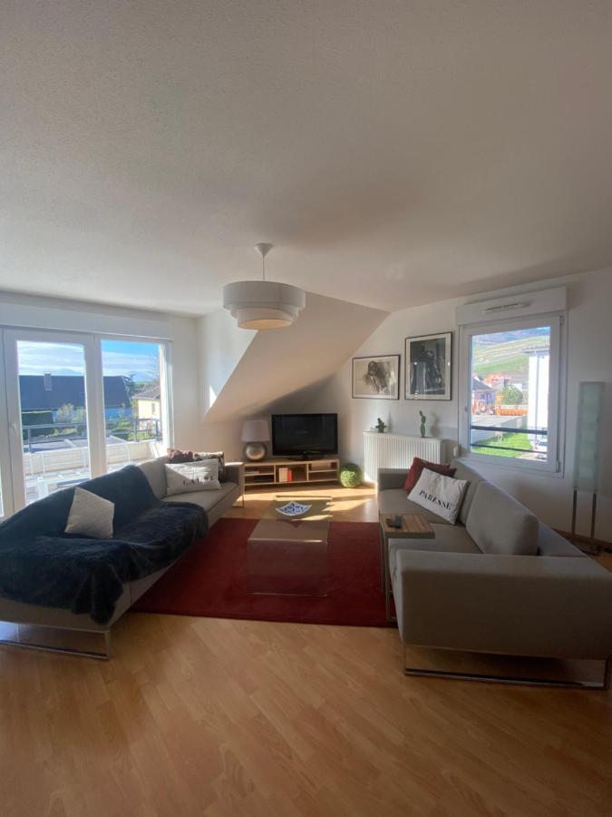 A2 Pas De Colmar Terrasse,Parking Lejlighed Wintzenheim Eksteriør billede