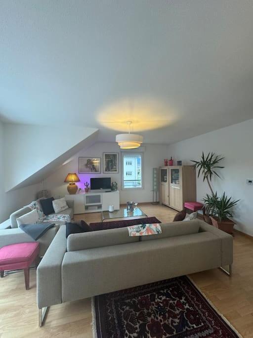 A2 Pas De Colmar Terrasse,Parking Lejlighed Wintzenheim Eksteriør billede