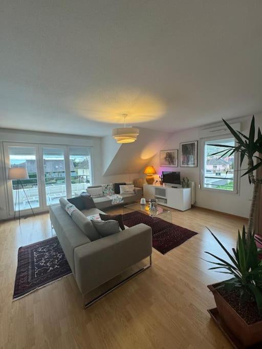 A2 Pas De Colmar Terrasse,Parking Lejlighed Wintzenheim Eksteriør billede